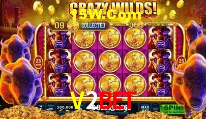 Suporte e comunidade no Telegram